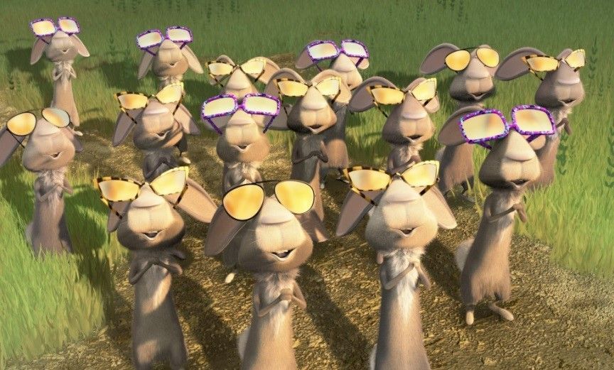 СЕЗОН ОХОТЫ!