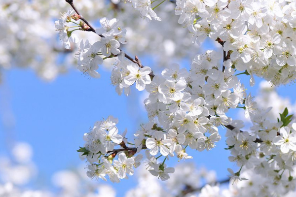 График работы в праздничные дни!