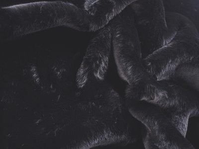 МЕХ ИСКУССТВЕННЫЙ ПОДКЛАДОЧНЫЙ М-8 Д11 (МЕХ ИСКУССТВЕННЫЙ ПОДКЛАДОЧНЫЙ М-8 Д11 черный)