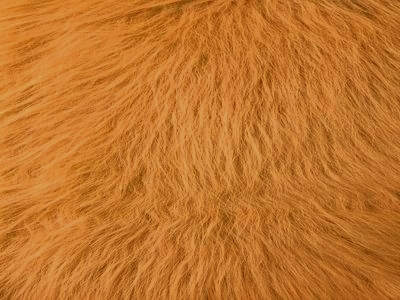 МЕХ ИСКУССТВЕННЫЙ ИГРУШЕЧНЫЙ ИП-273 (МЕХ ИСКУССТВЕННЫЙ ИГРУШЕЧНЫЙ ИП-273 рыже-коричневый)
